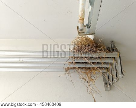 Birdnest On Aluminum Clothes Racks At The Balcony Of The Apartment. Is A Reservoir Of Germ