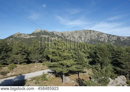 Views Of Guadarrama Mountains From Vicente Aleixandre Lookout, In Fuenfria Valley, Municipality Of C