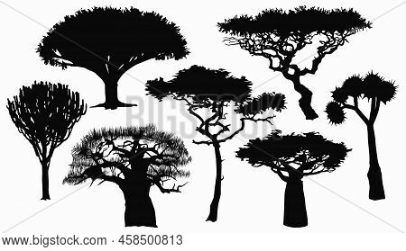 Collection With Flat Silhouettes Of African Trees.