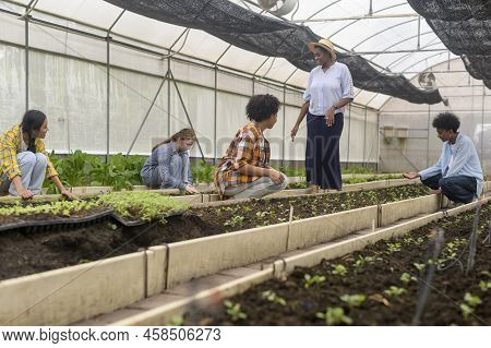 Group Of Mixed Race Students And Teacher Learning Agriculture  Technology In Smart Farming , Educati