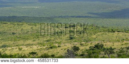 Hluhluwe Imfolozi Park Nature Reserve South Africa