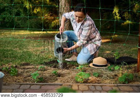 Woman Gardener Agronomist Using Watering Can, Waters Planted Seedlings At Eco Farm. Horticulture, Ag