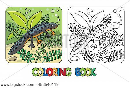 Funny Sweeming Newt. Kids Coloring Book. Vector