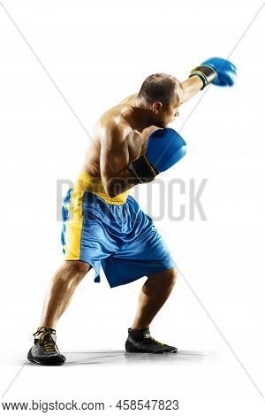 Professional Box Figter Isolated On White Background