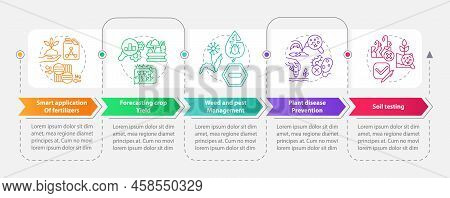 Increased Crop Yield Rectangle Infographic Template. Agribusiness. Data Visualization With 5 Steps. 