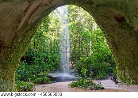 The Amazonian Jungle