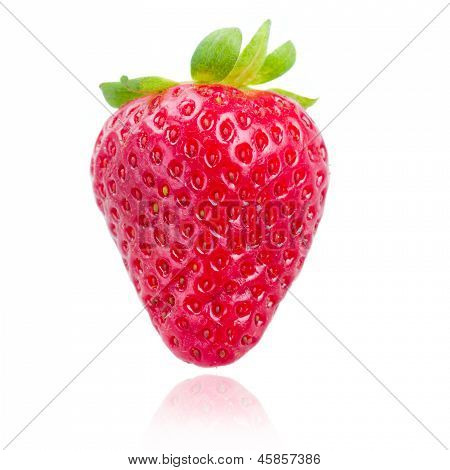 one strawberry