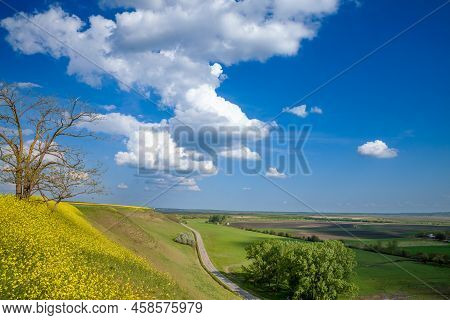 Panorama Of Titelski Breg, Or Titel Hill, In Vojvodina, Serbia, With A Dirtpath Countryside Road In 