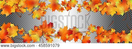 Colorful Maple Leaves. Seamless Pattern Bright Autumn Foliage Isolated On Transparent. Graphic Desig