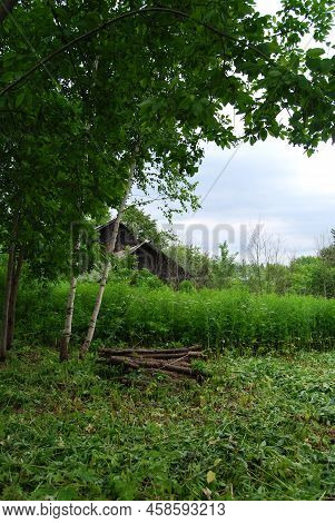 Rustic Landscape. Firewood.felled Trees In A Clearing. Stacked Firewood. Rustic Motifs. Work In The 