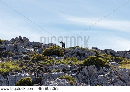 View Of The Mountains Near Valldemosa In Mallorca (balearic Islands)