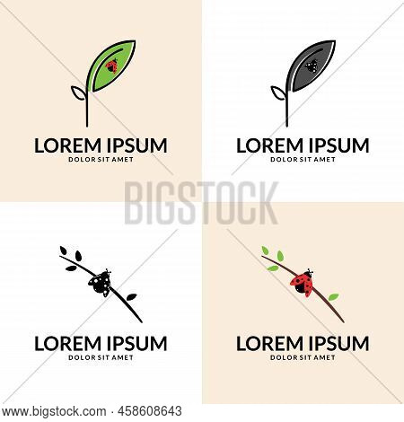 Ladybug On Leaf Logo Icon Vector Element. Ladybug Logo Design Vector