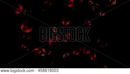 Red Balls And Circles, Water Microbes And Microorganisms, Medicine And Biology, Blood Microscope Clo
