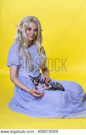 Cosplayer Elf Young Blonde Woman In Blue Dress Sits On Yellow Background, Holds Sphinx Cat On Lap, S