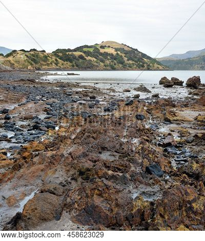 Onawe Peninsula Is A Volcanic Crater Plug In Akaroa Harbour, Canterbury, New Zealand.