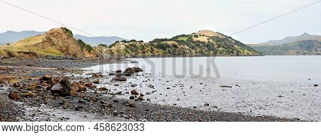 Onawe Peninsula Is A Volcanic Crater Plug In Akaroa Harbour, Canterbury, New Zealand.