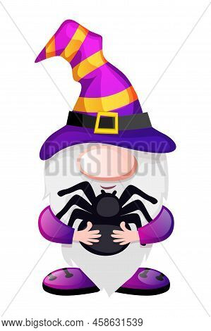 Halloween Gnome With Black Spider For Halloween Day.