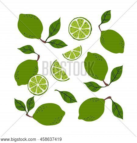 Tropical Set Of Yellow Limes And Lime Slices. Hand Drawn Limes Pattern On White Background. For Fabr