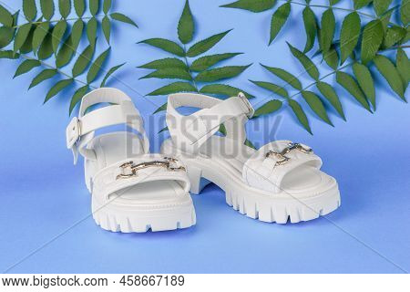Stylish White Women's Summer Sandals On A Blue Background With Palm Leaves. The Concept Of Summer Wo