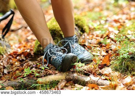 Close Up Portrait Of A Trekker Stumbling Suffering Sprain On Ankle In A Forest