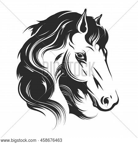 Wild Horse Head. Vector Horses Power Drawing Element, Fast Stallion With Black Hair Silohuette, Spee