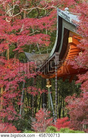 Details Of Historical Architecture And Red Maple Leaves In Kyoto, Japan In Autumn Season