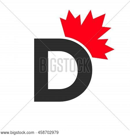 Letter D Maple Leaf Logo Template Symbol Of Canada. Minimal Canadian Business, Company Logo