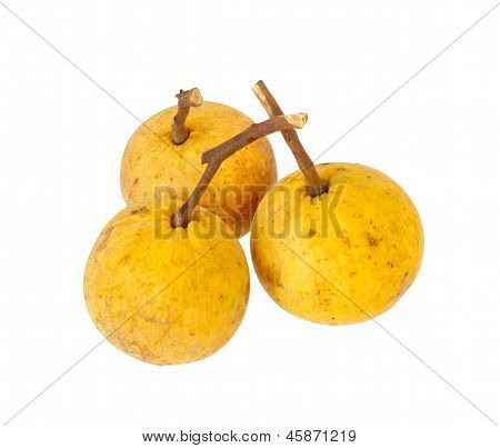 Santol frutta isolato e bianco sfondo