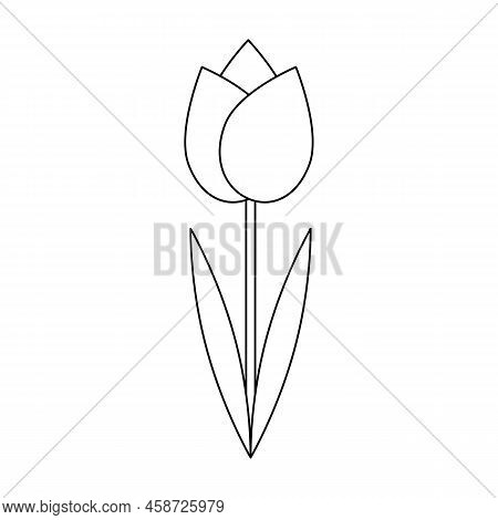 Tulip Flower Outline Contour Doodle Isolated On White Background Vector.spring Garden Flowers.summer