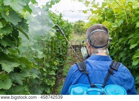 Close-up Hand Inflammation. Left Hand Was Very Swollen In Region Of The Cartilages Of Index Finger.