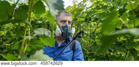 Close-up Hand Inflammation. Left Hand Was Very Swollen In Region Of The Cartilages Of Index Finger.