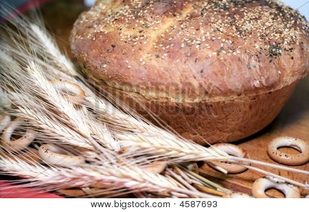 Brød med kiks og Stenpikker