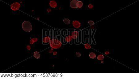 Blood Cells, Erythrocytes, Red Blood Cells, Microbes And Microorganisms, Medicine And Biology, Blood