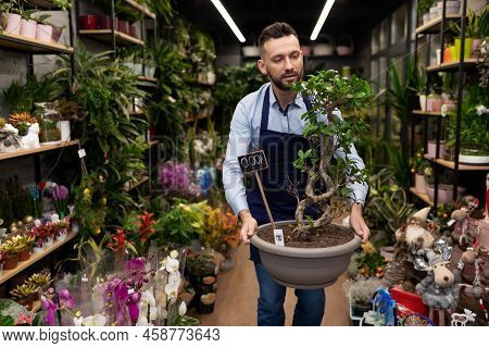 The Flower Boutique Manager Carries A Banzai In A Pot