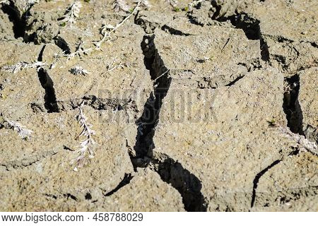 Dry Parched Land.