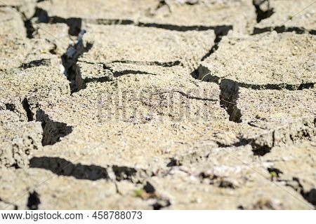 Dry Parched Land.