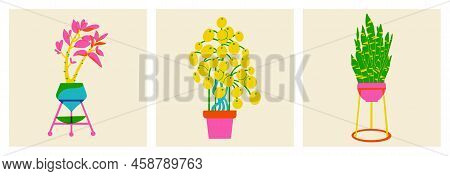 Plants In A Pot. Flowers In Trendy Risograph Print Texture Style. Set Of Hand Drawn Graphic Succulen