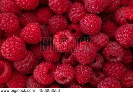 Ripe Juicy Raspberries Close-up. Background From Raspberries. Summer Delicious Sweet Berry. Texture