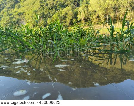Clear Scenery By Tangyu Lake In Xi'an, China