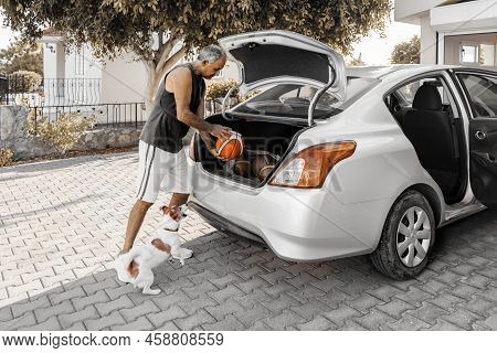 Basketball Coach Puts The Balls In The Trunk Of His Car Going To Workout. A Small Dog Jack Russell T