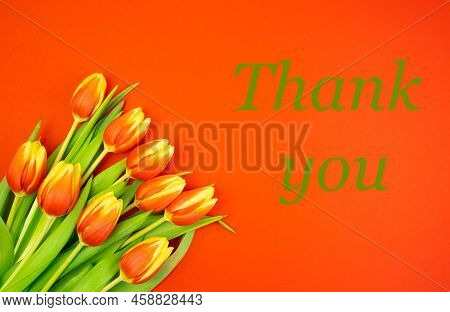 Redyellow Tulips On A Red Background And The Text Thank You In Green Letters