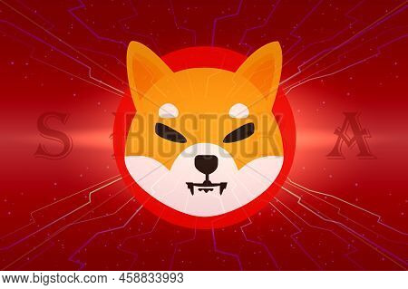 Shiba Virtual Currency Visuals On A Colorful Background. 3d Illustrations.