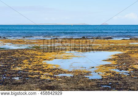 Low Tide At Dodds Creek Beach - Flinders, Victoria, Australia