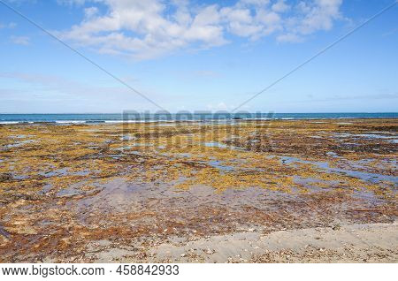 Low Tide At Dodds Creek Beach - Flinders, Victoria, Australia