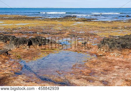 Low Tide At Dodds Creek Beach - Flinders, Victoria, Australia