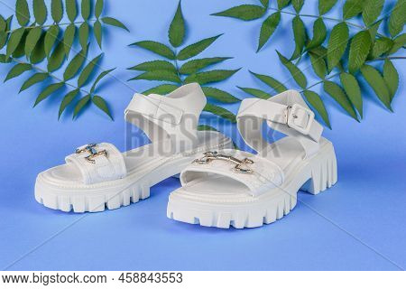 Leather White Women's Sandals On A Blue Background With Palm Leaves. The Concept Of Summer Women's S