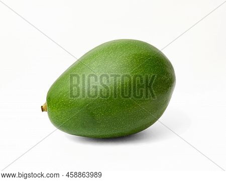 One Green Avocado Lay On White Background