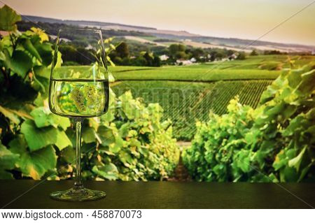 Closeup White Grapes And Wine Glass Withvineyard Background