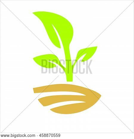 Plant Icon Isolated On A White Background From The Ecology Collection. Crop Icon Thin Line Line Line