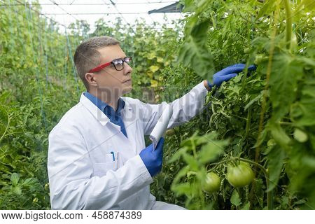 Plant Disease Agronomist. Junior Agricultural Scientists Research Greenhouse Plants And Look For A W